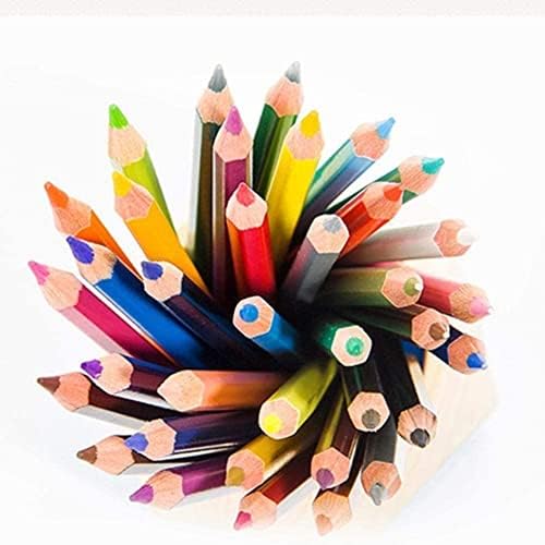 Jkapagzy 12 Colour Pencils Natural Wood Colored Pencils