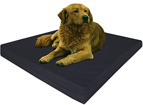 Dogbed4less Extra Large True Orthopedic Gel Memory Foam Dog Bed, Waterproof Liner and Durable Black Canvas Cover, XL 40X35X4 Inch