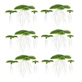 ULTECHNOVO 3 Paquetes Plantas Flotantes Artificiales para Acuarios de Lenteja de Plástico con Decoración Acuática para Peceras Añade Vida y Color Acuario