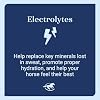 SmartLytes Paste Horse Electrolyte Paste | Encourages Hydration | Replenishes Electrolytes | No Added Sugar | Apple Banana Flavor | Pack of 6 Tubes