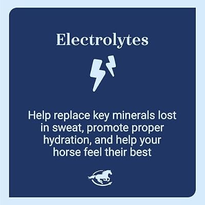 SmartLytes Paste Horse Electrolyte Paste | Encourages Hydration | Replenishes Electrolytes | No Added Sugar | Apple Banana Flavor | Pack of 6 Tubes