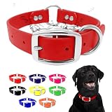 Regal Dog Products Large Red Dog Collar with Heavy...