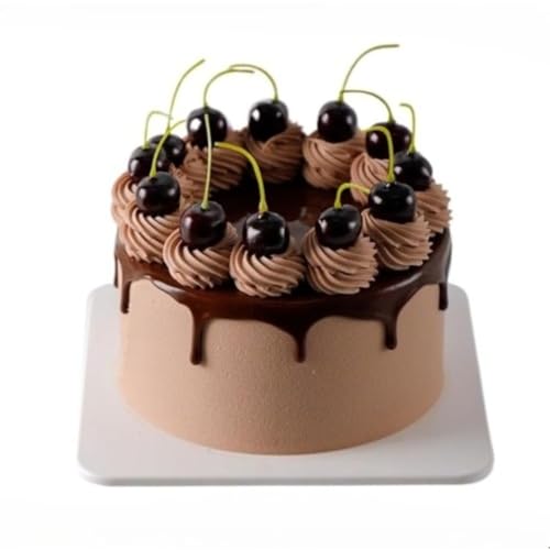 aP[L LOP[L Hi Tv a20cm 6C` lߍ킹 َq  Hi͌^ fBXvCp ͌^ tFCN { A { H Zbg W ̑ ObY ܂܂ X Be (E)