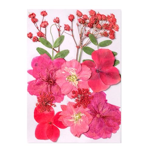 12 ԃA[gNtgpi肵LhWG[XNbvubLOp