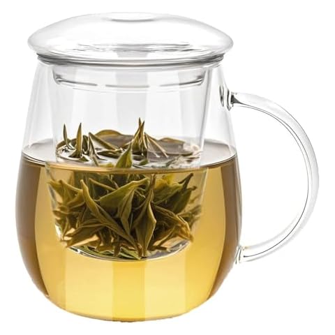 Arefen Mushroom Glass Tea Infuser Mug Cover