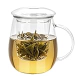 Arefen Clear Glass Tea Infuser Mug with Strainer and Lid Large Tea Cup 500ml Cute Mushroom Glass Tea Mug Christmas Birthday Gifts for Mum Dad Grandparents