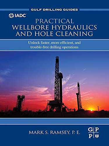 Practical Wellbore Hydraulics and Hole Cleaning: Unlock Faster, more Efficient, and Trouble-Free Drilling Operations (Gulf Drilling Guides) (English Edition)