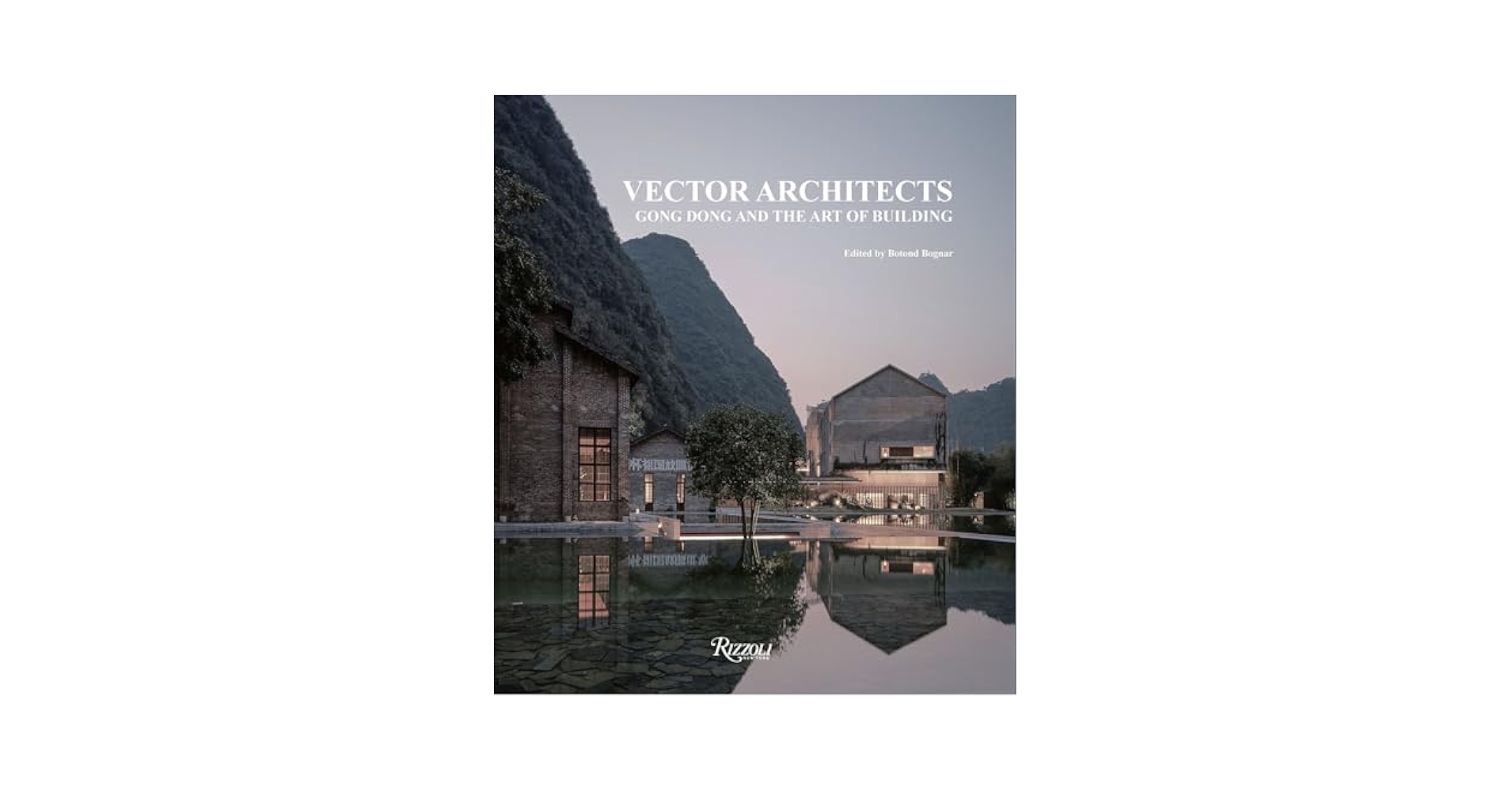 アート・デザイン・音楽 Vector Architects: the Art of Building Vector Architects: Gong Dong and the Art of Building: DONG