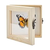 Surface acrylique transparente : la surface de visualisation transparente offre une excellente visibilité pour l'observation détaillée des insectes. Essentiel pour les études de laboratoire, les démonstrations et les présentations professionnelles de taxidermie