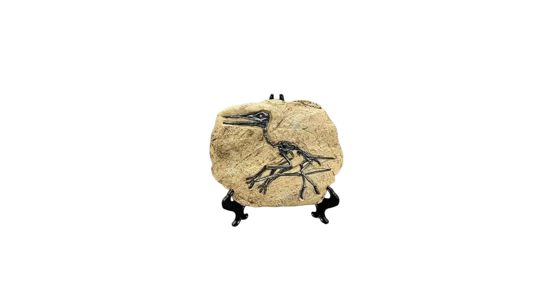 置物　恐竜　化石　骨　骨格標本　骨格模型　おもちゃ Amazon.co.jp: [Rebirth]置物 恐竜 化石 骨 骨格標本 骨格模型
