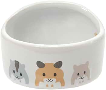 41bboCdqFqL._AC_UF350,