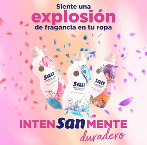 perfumes para tiendas de ropa