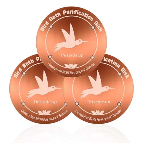 Disque de purification pour bain d'oiseaux en cuivre avec support 4 points pour eau limpide - 2