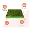 DoggieLawn Real Grass Puppy Pee Pads- 24 x 9 Inches - Perfect Indoor Litter Box for Dogs - No Mess, Easy-to-Use - Potty Training for Pets - Eco-Friendly Disposable Bathroom with Real Living Grass