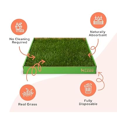 DoggieLawn Real Grass Puppy Pee Pads- 24 x 9 Inches - Perfect Indoor Litter Box for Dogs - No Mess, Easy-to-Use - Potty Training for Pets - Eco-Friendly Disposable Bathroom with Real Living Grass