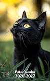 Pocket Calendar 2026-2027: Small 2-Year Monthly agenda from January 2026 to December 2027 purse size | Bombay Black Cat Design