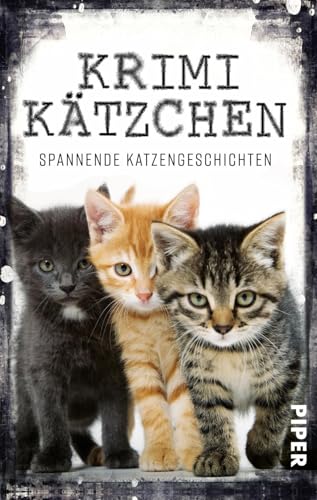 Krimikätzchen: Spannende Katzengeschichten