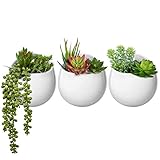 Mkono Wall Planter with Artificial Plants, Decorative Potted Fake Succulents Picks Assorted Faux Succulent in Modern Ceramic Hanging Plant Pot Vase for Home Decor, Set of 3
