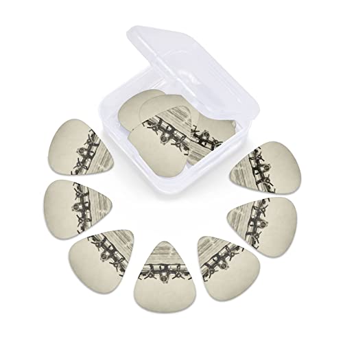 Avion Art Lot de 3 médiators en celluloïd coloré pour guitare basse, amateurs de musique, joueurs de guitare, guitares électriques et acoustiques 0,46 mm, 0,71 mm, 0,96 mm - Les Beatles, Paul McCartney, John Lennon, RIngo Starr, George Harrison Avion Art Lot de 3 médiators en celluloïd coloré pour guitare basse, amateurs de musique, joueurs de guitare, guitares électriques et acoustiques 0,46 mm, 0,71 mm, 0,96 mm – Image 7