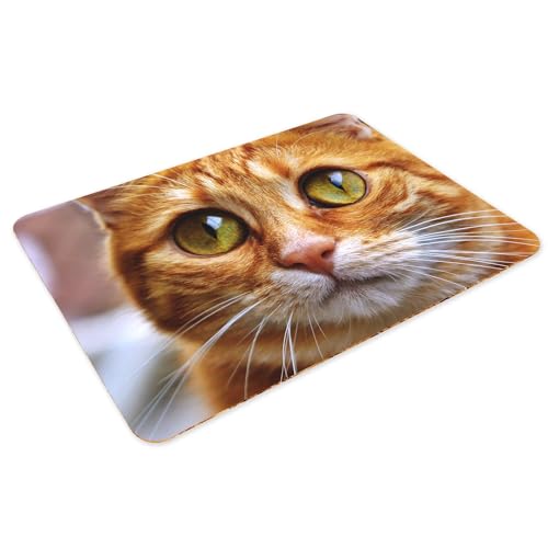 Dessous en liège chat roux grand format lavable pour napperon de table enfant - 3