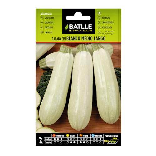 Semillas Batlle Calabacin BLANCO medio largo