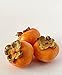 Fuyu Persimmons (5 lbs)