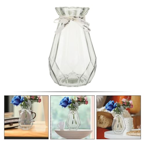 Jarrón de cristal transparente minimalista para flores y cultivo hidropónico 4