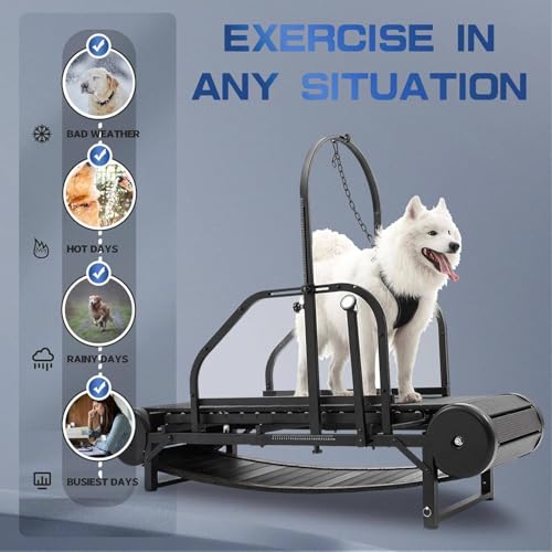 Lakenbroade Dog Treadmill for Large/Medium Dogs, Adjustable Ramp Canine Running Slatmill Machine with Pedometer for Exercise & Healthy & Fit Pet Life, Up to 300LBS - Thumbnail 2