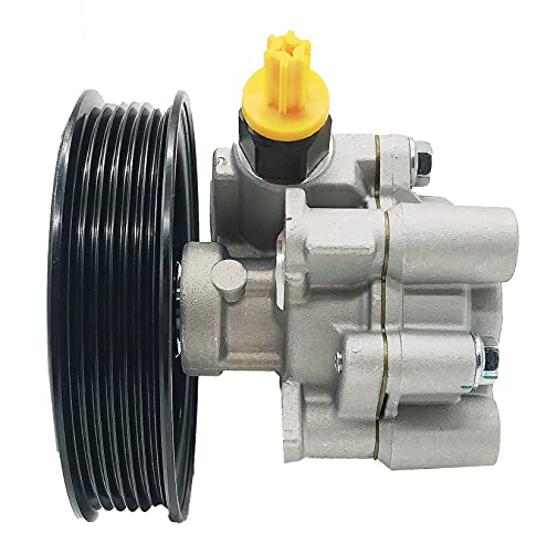 Well Auto Power Steering Pump W/Pulley Compatible With 00 01 02 03 04 05 06 Toyota Tundra; 01 02 03 04 05 06 07 Toyota Sequoia 21-5264 215264 443100C030, 443200C020, 443200C030 #TOP3