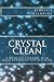 Crystal Clean: A mother's struggle with meth addiction and recovery