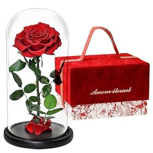 Wonder Collection Forever Preserved Rose – Eternal Infinity Real Flower in Glass Gifts – Valentines Day Birthday for Women：Wife Her Mom Girlfriend(8.5″-Red)