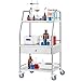 VEVOR Stainless Steel Utility Cart with 3 Shelves & 1 Drawer, 360 Swivel Casters, 220lbs Capacity