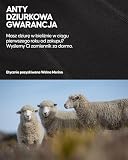 DANISH ENDURANCE Bokserki z Wełny Merino, z Rozporkiem lub Bez, Oddychająca Bielizna Męska, 1 Pak, Szary Melanż, 2XL