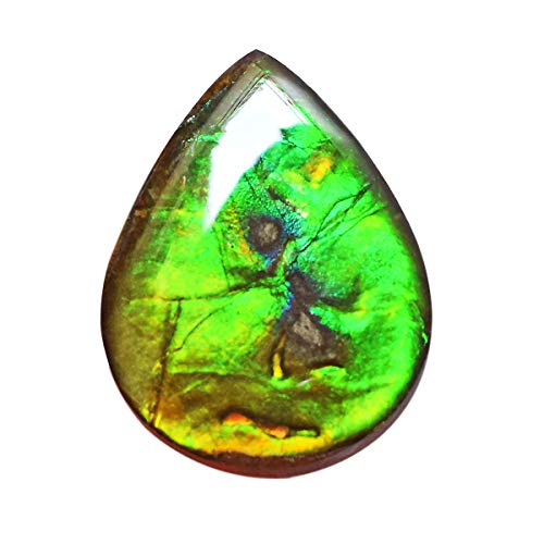 Cabochon en ammolite naturelle rare, gemme poire rouge et verte d'exception