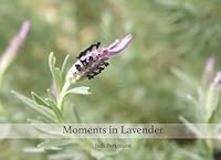 Moments in Lavender: A Share-Time Picture Book for Reminiscing and Storytelling: 1 (Non-Verbal Reminiscent Books for People with Alzheimer's disease, Dementia and Memory Loss) 1484965833 Book Cover