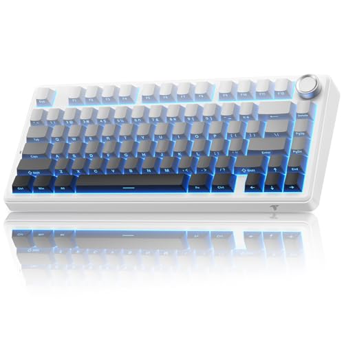 Clavier Gaming Mécanique 75% Sans Fil TECURS MK209 - RGB, Touches PBT, Triple Connectivité
