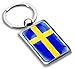 Biomar Labs® Schlüsselanhänger Metall Keyring mit Geschenkbox Autoschlüssel Geschenk Metall-Schlüsselanhänger Schlüsselbund Edelstahl Schweden Flagge Sweden, KK 233