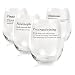 Funny Stemless Wine Glass Dictionary Definitions - Set of 4