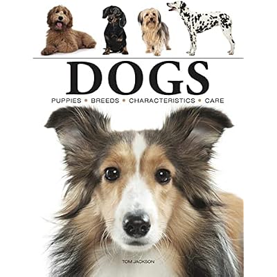 Dogs