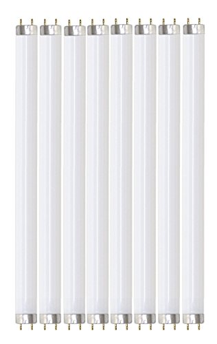 Pack of 8 F32T8/850 32 watt 48