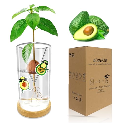 KONIDUN Avocado Seed Starter Vase with Base & Sticker
