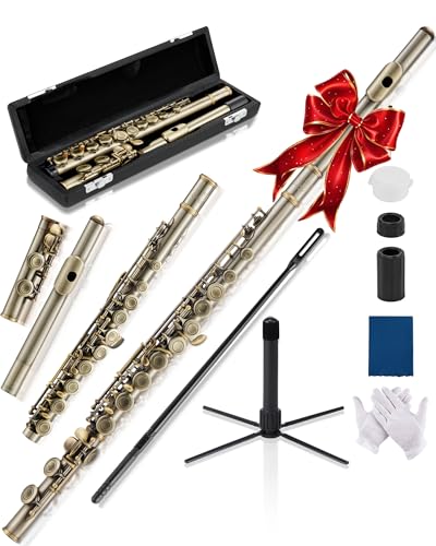 アイボリー　リコーダー　フルート　専用ケース付き アイボリー リコーダー フルート 専用ケース付き アイボリー