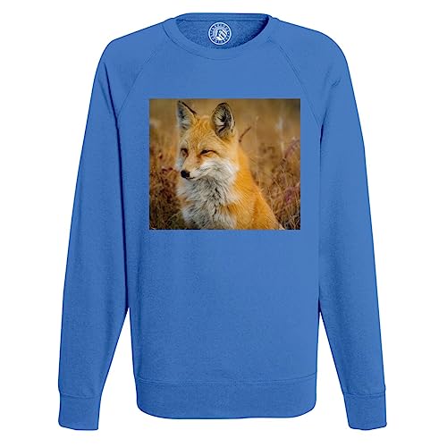 Sweat shirt homme superbe renard pour vos balades en nature et prairies