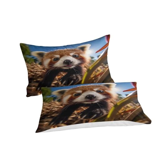 Parure de lit 140x200 Lesser Panda housse de couette microfibre