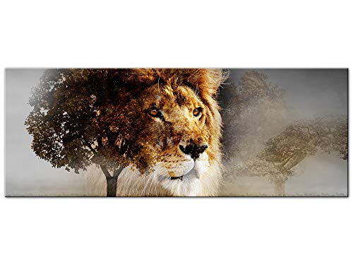 Tableau aluminium panoramique moderne salon et bureau | Lion 120x50 cm