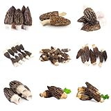 Comprar colmenillas, semillas, setas, decoración de jardín exterior. interior exóticas, para bancales elevados resistentes 40pcs