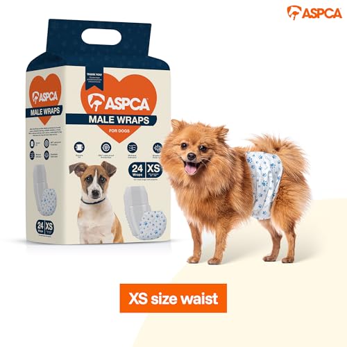 Image of ASPCA Disposable Male Dog Diapers, Leak-Proof Dog Wraps with Wetness Indicator, Adjustable Fit for Training & Incontinence, 24 Count