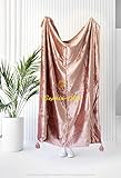 Sophia-Art Luxury Crushed Velvet Throw Blanket with Tassels Sofa Bed Soft Blankets Boho Warm Throws Cozy Plush Lightweight Pet (50x60 inches, Rose)