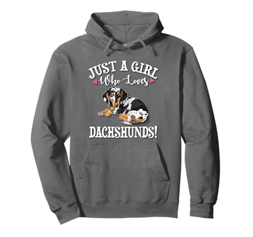 Womens Funny Just A Girl Who Loves Dapple Dachshunds Lover Pullover Hoodie