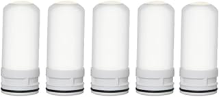 Filtro de repuesto de cerámica para interiores y filtros de cerámica para purificador de agua de cocina, lavable, filtro rust.